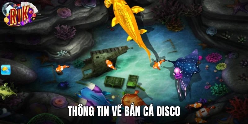 Cơ bản thông tin về trò chơi được yêu thích Bắn Cá Disco