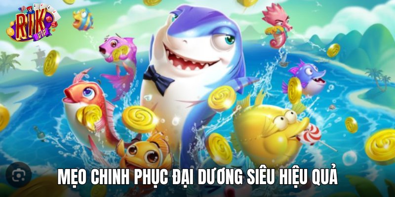 Mẹo chinh phục đại dương siêu hiệu quả
