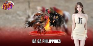 Đá Gà Philippines RIKVIP – Sân Chơi Quy Tụ Chiến Kê Xuất Sắc