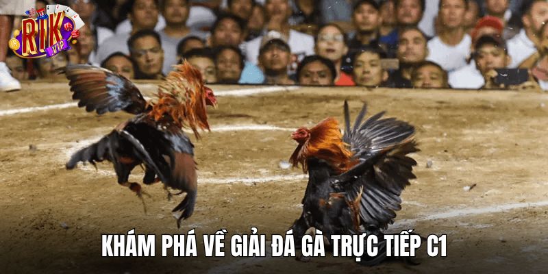 Khám phá về giải đá gà trực tiếp C1