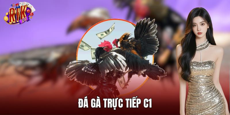 Đá Gà Trực Tiếp C1 RIKVIP – Giải Đấu Chuyên Nghiệp, Hấp Dẫn