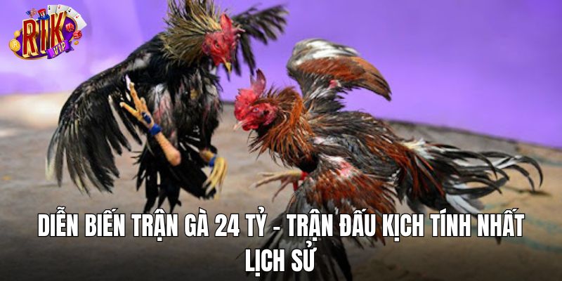 Thông tin về trận gà 24 tỷ và lý do có tên gọi này